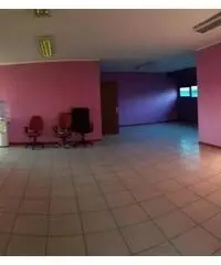 Vendita Capannone in Via dei Tigli