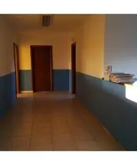 Vendita Capannone in Via dei Tigli