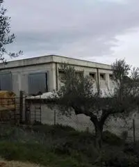 Affitto Capannone da 250mq