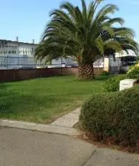 Capannone artigianale in affitto a OSPEDALETTO - Pisa 1000 mq  Rif: 422844