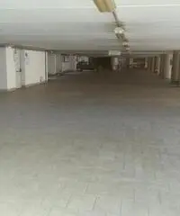 Capannone commerciale in affitto a Santa Croce sull'Arno 2000 mq  Rif: 361395