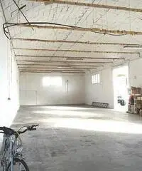 Capannone industriale in affitto a CASCINE - Buti 200 mq  Rif: 475597