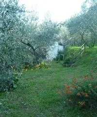 Magazzino in vendita a Calci 36 mq  Rif: 321414