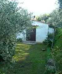 Magazzino in vendita a Calci 36 mq  Rif: 321414