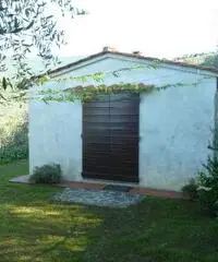 Magazzino in vendita a Calci 36 mq  Rif: 321414