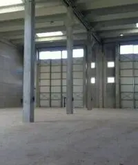 Rifcapannone nv - Magazzino in Affitto a Pisa - Pta a Mare di 1700 mq Rifcapannone nv - Magazzino in Affitto a Pisa - Pta a Mare di 1700 mq