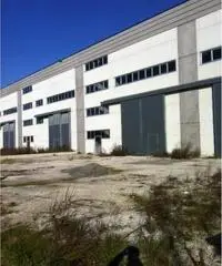Rifcapannone nv - Magazzino in Affitto a Pisa - Pta a Mare di 1700 mq Rifcapannone nv - Magazzino in Affitto a Pisa - Pta a Mare di 1700 mq
