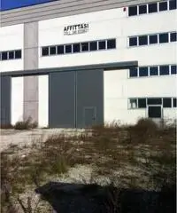 Rifcapannone nv - Magazzino in Affitto a Pisa - Pta a Mare di 1700 mq Rifcapannone nv - Magazzino in Affitto a Pisa - Pta a Mare di 1700 mq
