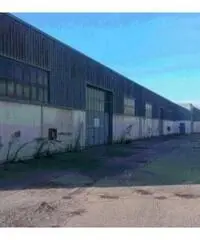 Vendita Capannone da 1730mq