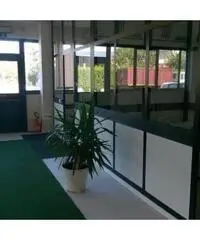 Vendita Capannone da 250000mq