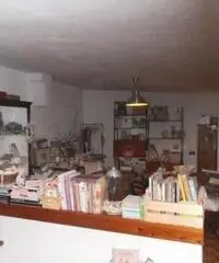 Rif: 818 - PRATICELLO DI GATTATICO, vendesi capannone di circa 700 mq. piu' vano ufficio e servizio