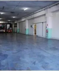 Affitto Capannone in A1 Diramazione Roma Sud