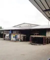 Vendita Capannone in Via Casilina, 33300