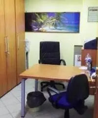 Vendita Capannone in VIA SANTA APOLLARIA 96