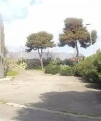Vendita Capannone in VIa Braccianese Claudia