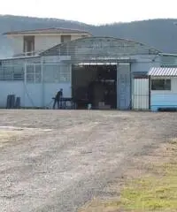 Vendita Capannone in Via Colle di Fuori