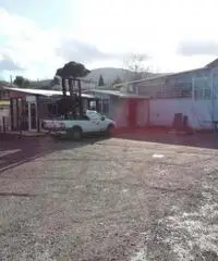 Vendita Capannone in Via Colle di Fuori