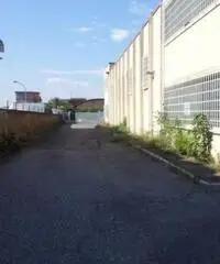 Vendita Capannone in Via Lucrezia Romana Vendita Capannone in Via Lucrezia Romana