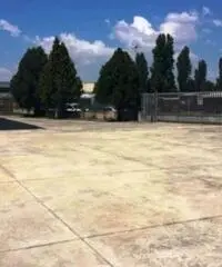 Vendita Capannone in via Isaac Newton