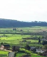 Vendita Capannone in Via di Mezzo