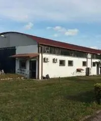 Vendita Capannone in Via di Mezzo