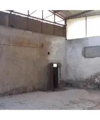 Vendita Capannone in Via Rioli