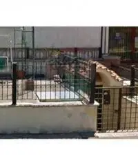 Vendita Laboratorio in Viale alla Marina