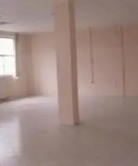 Vendita Magazzino in Via Ovidio Franchi