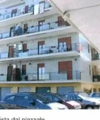 Vendita Magazzino in viale dei Cedri