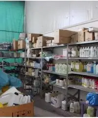 Vendita Capannone in Via Spineta