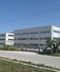 Vendita Capannone da 2240mq