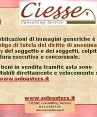 Capannone a Grugliasco - Rif. CS09733_NP