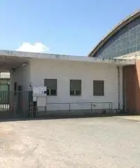 Capannone in Affitto a Vinovo