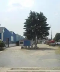 Rif: 00233785/15CDmanzoniTOCP - Capannone in Vendita a Beinasco