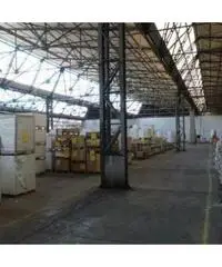 Rif: 00233785/15CDmanzoniTOCP - Capannone in Vendita a Beinasco