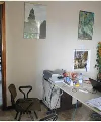 Rif: 011 - Capannone in Vendita a Beinasco