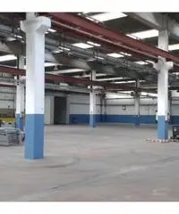 Rif: Capuano - Capannone in Affitto a Moncalieri