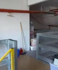 Rif: Capuano - Magazzino Rivoli 200 mq