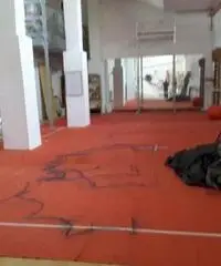 Rif: Capuano - Magazzino Rivoli 200 mq