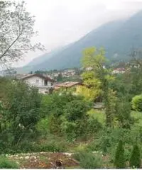 Vendita Capannone da 1100mq