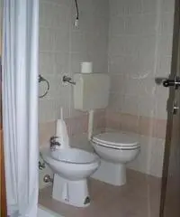 Appartamento di 1 locali in Affitto