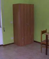 Appartamento di 1 locali in Affitto