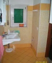 Appartamento di 2 locali in Affitto