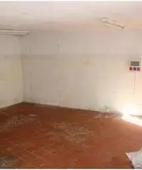 21531030-51 - Montegrino Valtravaglia affittasi laboratorio