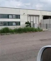 Affitto Capannone in Viale Commercio