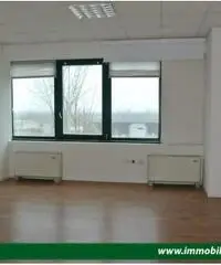 Capannone a San Bonifacio - Rif. 499-4