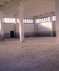 Vendita Capannone da 1276mq