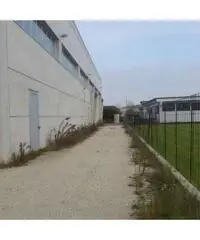 Stroppari: Vendita Capannone in via via Matteotti 2