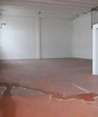 Vendita Capannone in Viale dell'Economia