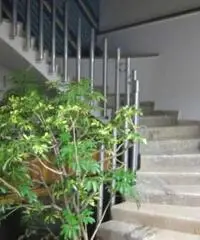 Vendita Capannone in via Strada Provinciale 68